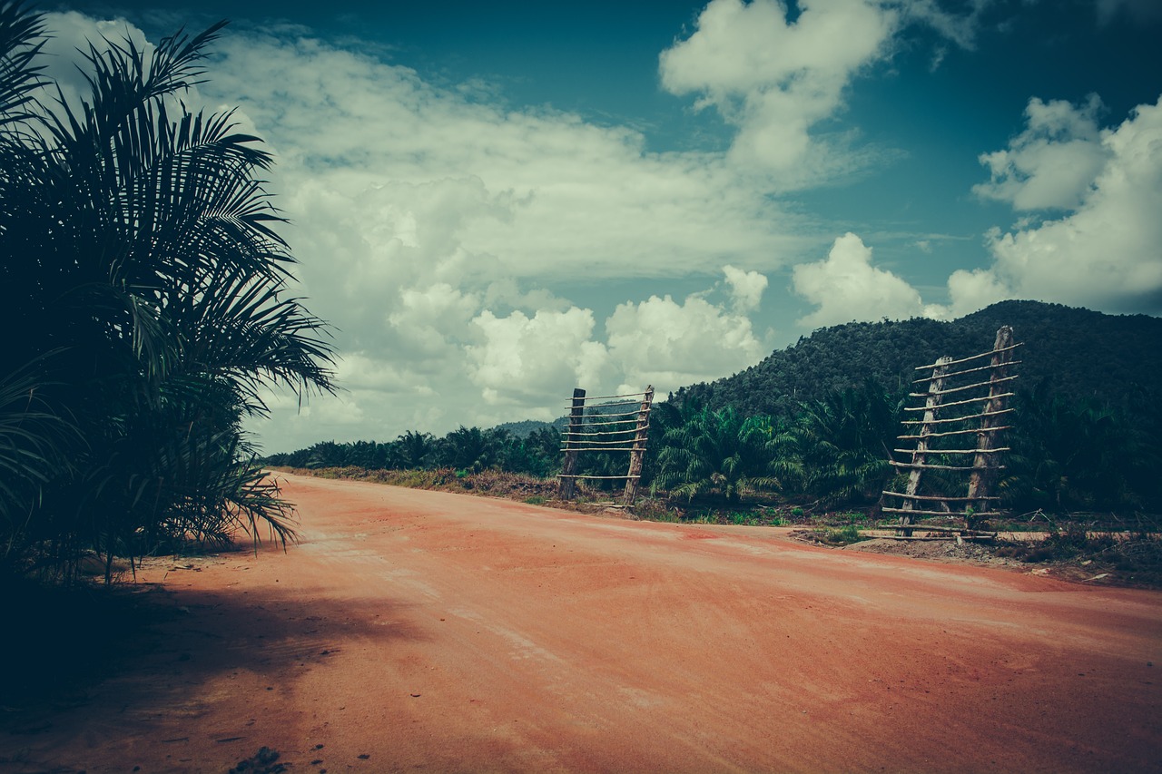 Borneo